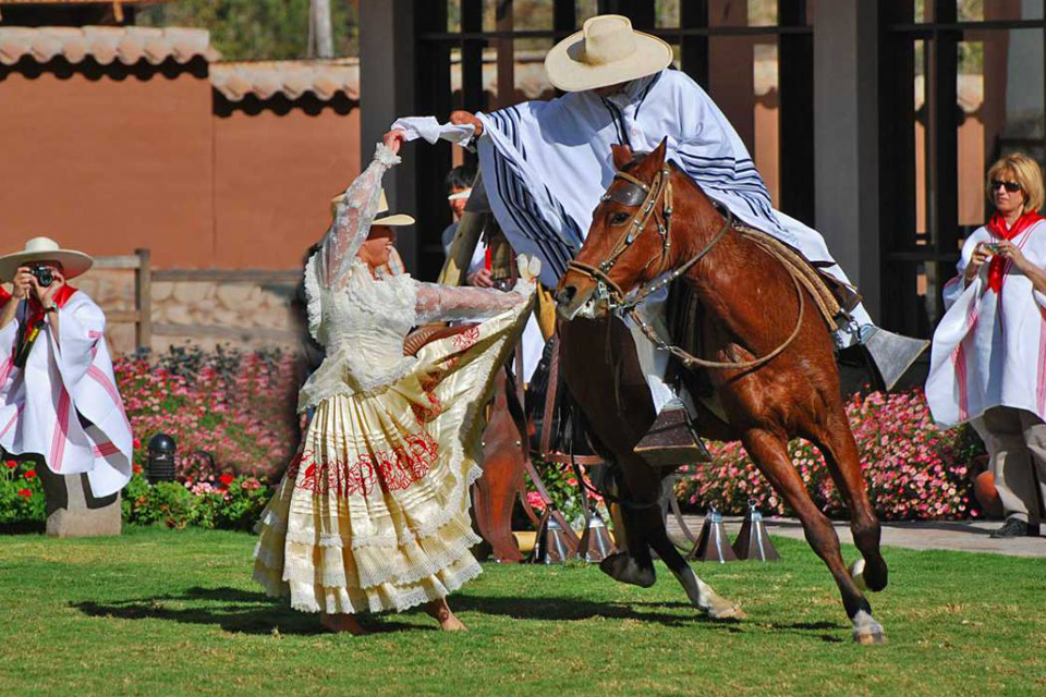 Peruvian Paso Horse Exhibition