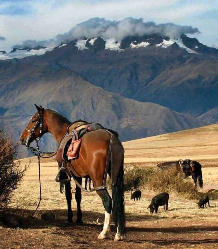 Horseback Riding Sacred Valley 4