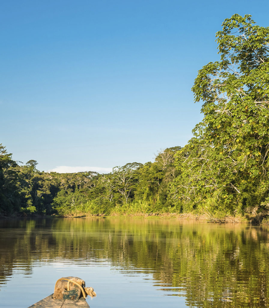 detail_tambopata