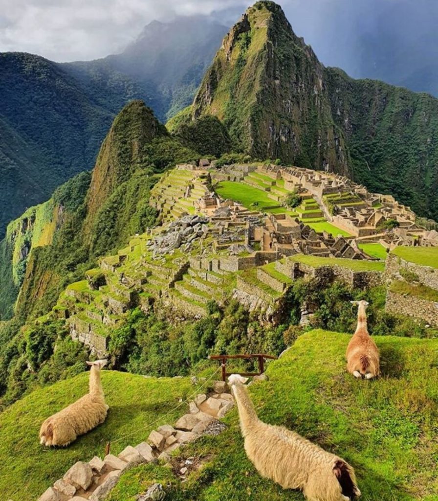 Machu Picchu 27