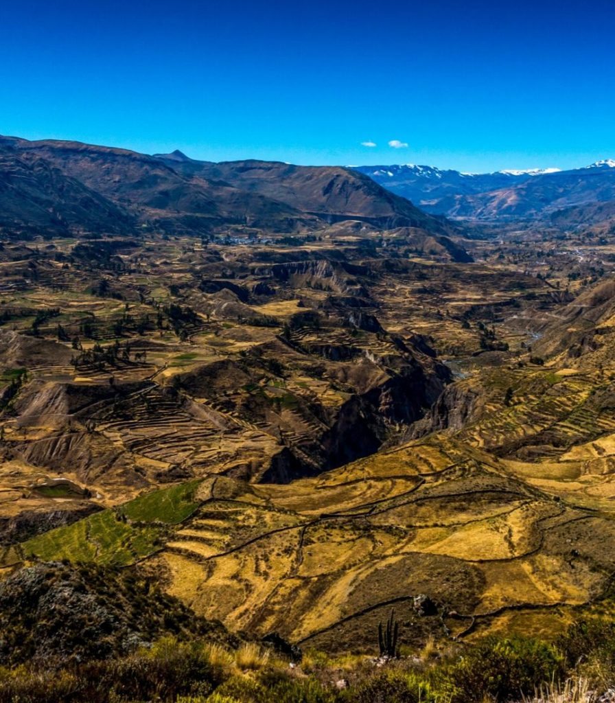 Colca 11