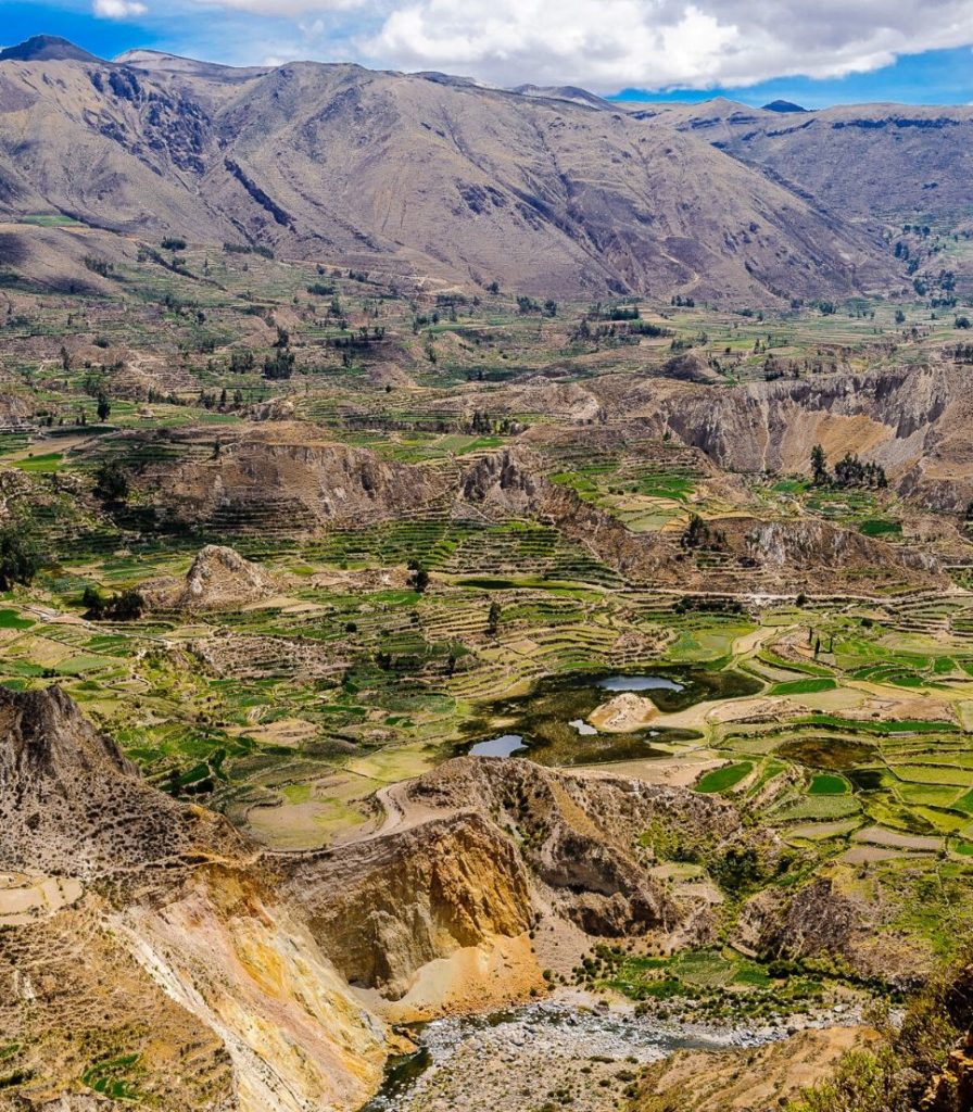 Colca 4